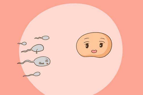 试管婴儿移植成功后，如何进行保胎？