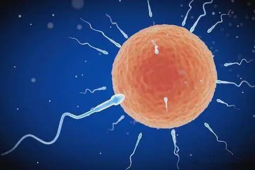 试管婴儿的孩子优缺点有哪些？要不要做？