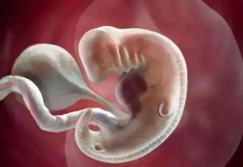 输卵管切除两边还可以怀孕吗？做试管婴儿可行吗？
