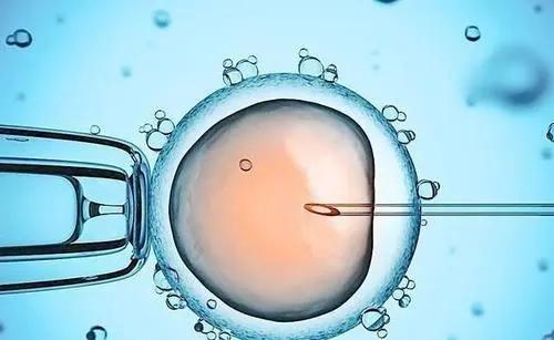 试管婴儿胚胎质量不好能成功吗？
