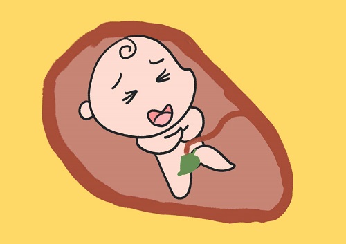 试管婴儿的第二次