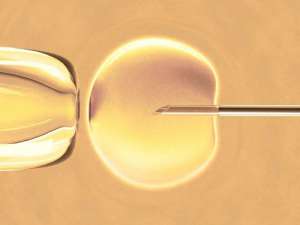 2022四川哪个医院做试管成功率高？