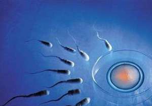 2021安徽试管婴儿补助政策,有吗?赶紧了解一下