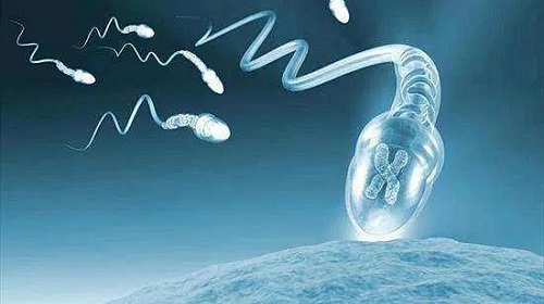 2022年没有结婚证私立医院做试管可行吗？