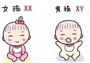 试管婴儿方案有哪几种？具体内容是什么？