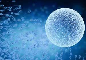 2022做试管最好的医院是哪