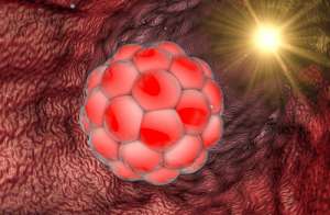 2022年做试管多少钱