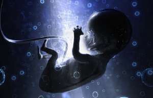 试管婴儿过程是怎样的？整个周期需要多长时间？
