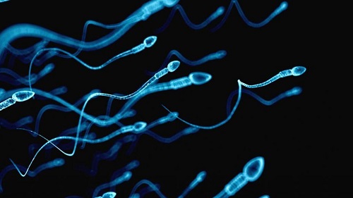 试管婴儿胚胎培养需要多长时间