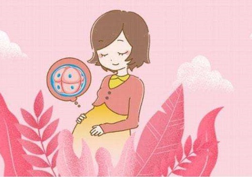 试管婴儿移植后如何保胎？