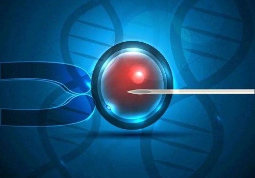 试管移植成功后前三个月注意事项都有什么？