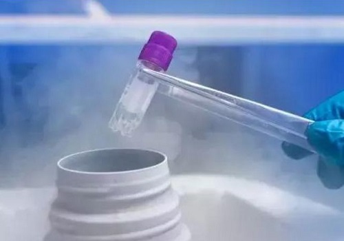 2022哪可以做试管婴儿？
