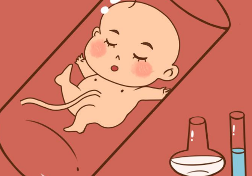 上海试管婴儿费用包括什么