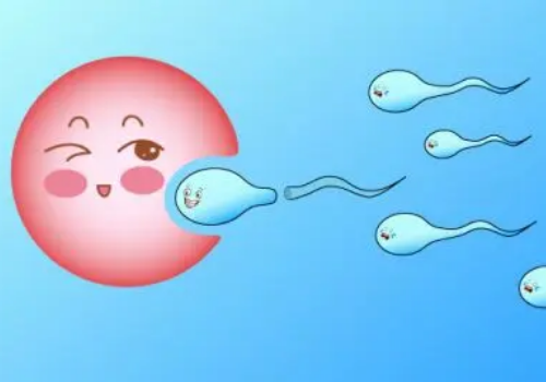 深圳试管婴儿多少钱