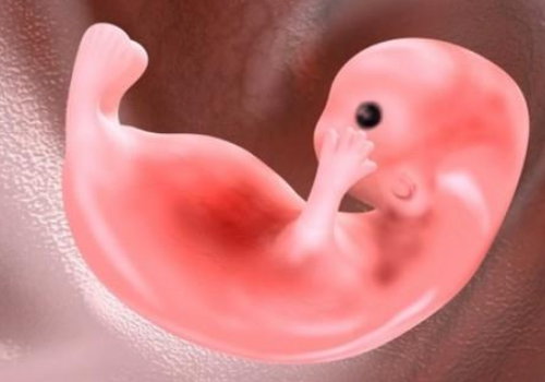 人工授精与试管婴儿有什么不同？​