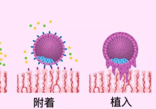 泰国试管排名医院解析？​