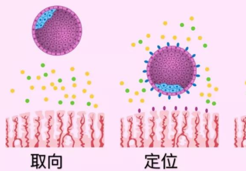 北京去俄罗斯做试管助孕的影响几率？​