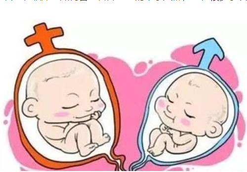 做俄罗斯试管的费用大概多少钱？