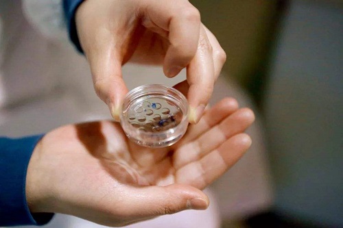 试管婴儿的利与弊北京优孕行科技有限公司怎么样